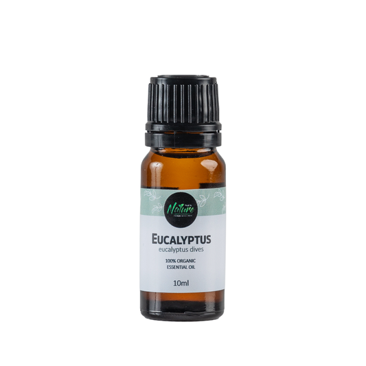 Eucalyptus Oil - 10ml